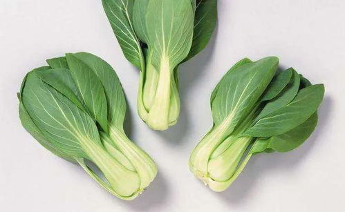 炒前必須焯水的3種蔬菜，再懶也別省這一步，你別還不知道