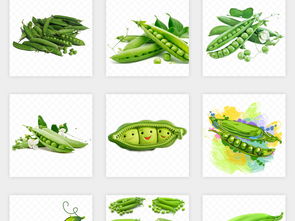 綠色豌豆 有機蔬菜的清新之選——素材海報與商業應用指南